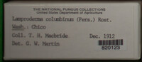 Image Associated With the Occurence